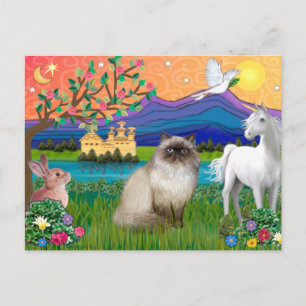 Chocolate Point Himalayan Cat  - Fantasy Land Postcard