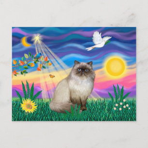 Chocolate Point Himalayan Cat  - Twilight Postcard