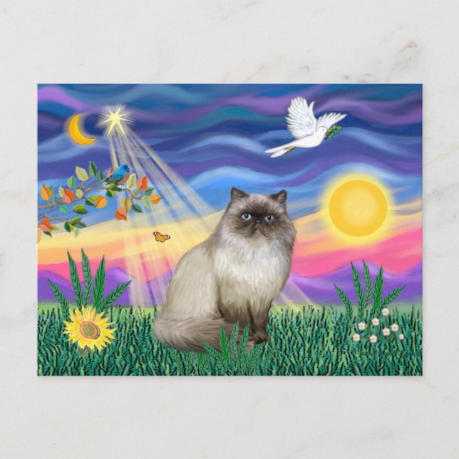 Chocolate Point Himalayan Cat  - Twilight Postcard (Front)