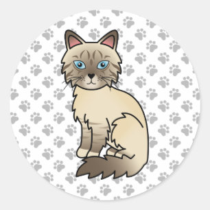 Chocolate Point Tabby Birman /Ragdoll Cat & Paws Classic Round Sticker