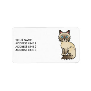 Chocolate Point Tabby Birman/Ragdoll & Custom Text Label