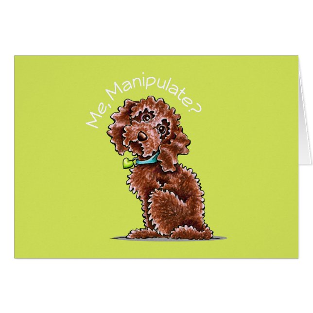 Chocolate Poodle Mix Me Manipulate (Front Horizontal)