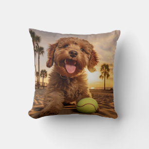 Chocolate poodle puppy with Tennis balls on beach Cushion