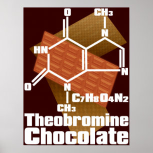 Chocolate Poster
