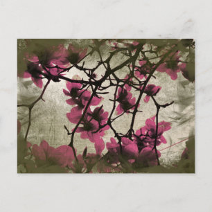 Chocolate Raspberry Blossom Branches Postcard