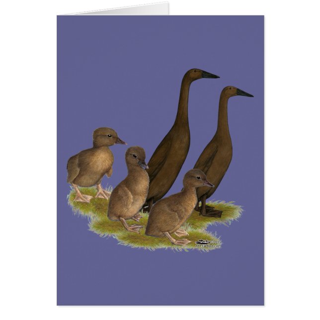 Chocolate Runner Duck Family (Front)
