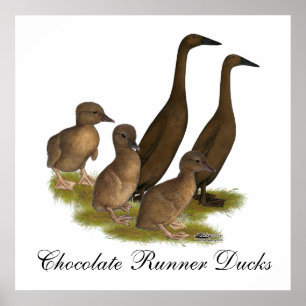 Chocolate Runner Duck Family Poster