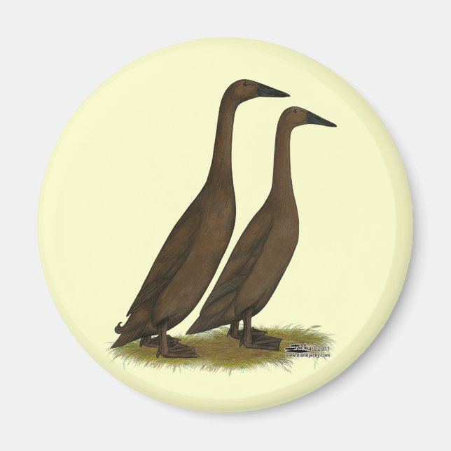 Chocolate Runner Ducks Magnet (Front)