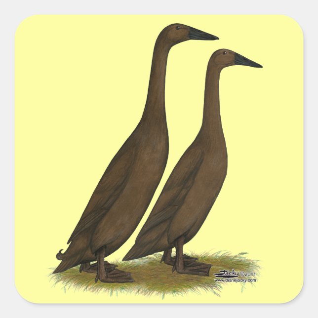 Chocolate Runner Ducks Square Sticker (Front)