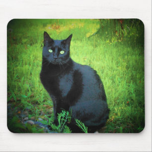 Chocolate Says Come Play Mouse Pad