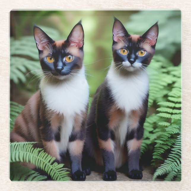Chocolate Siamese Cat Twins, Coaster (Front)