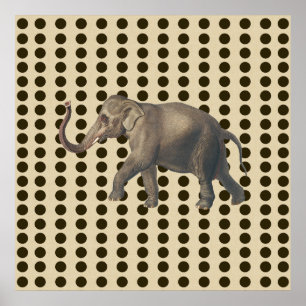 Chocolate Spice Moods Dots with Elephant Poster