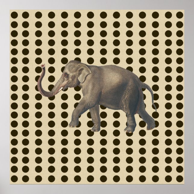 Chocolate Spice Moods Dots with Elephant Poster (Front)
