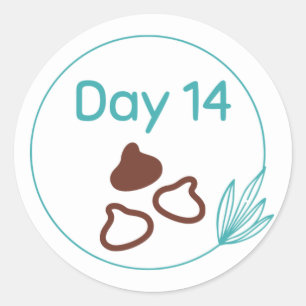 Chocolate Tasting Kit Day 14 Classic Round Sticker