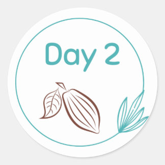 Chocolate Tasting Kit Day 2 Classic Round Sticker