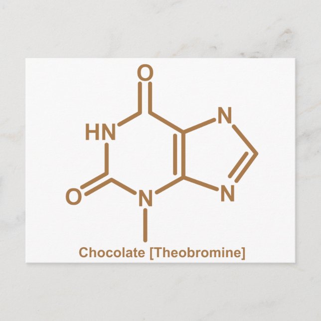 Chocolate theobromine postcard (Front)