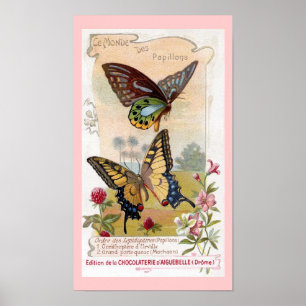 Chocolates and Butterflies Poster