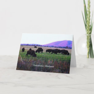 Choctaw Greeting Cards ( Yunnush )