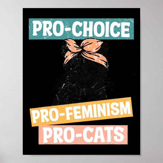 Choice Feminist Cat Mum Reproductive Rights Pro Ab Poster (Front)