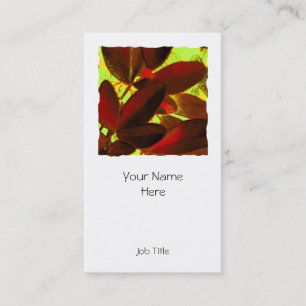 Choisya Autumn 2 square white portrait Business Card