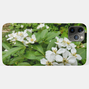 Choisya Ternata iPhone 11 Pro Max Case