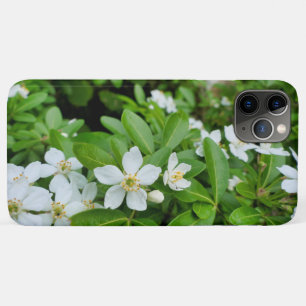 Choisya Ternata iPhone 11 Pro Max Case