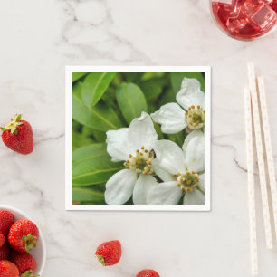 Choisya Ternata Paper Napkins