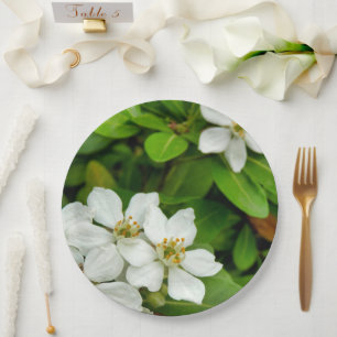 Choisya Ternata Paper Plate