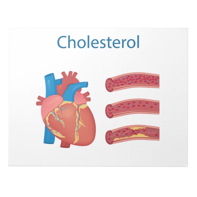  Cholesterol Notepad (Front)