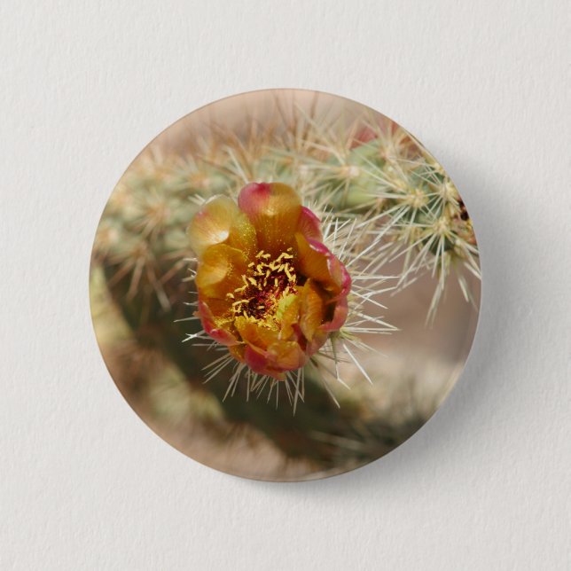 Cholla Cactus Bloom 6 Cm Round Badge (Front)