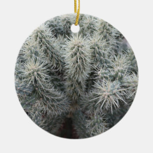 Cholla Cactus in Arizona Ceramic Ornament
