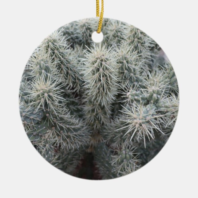 Cholla Cactus in Arizona Ceramic Ornament (Front)