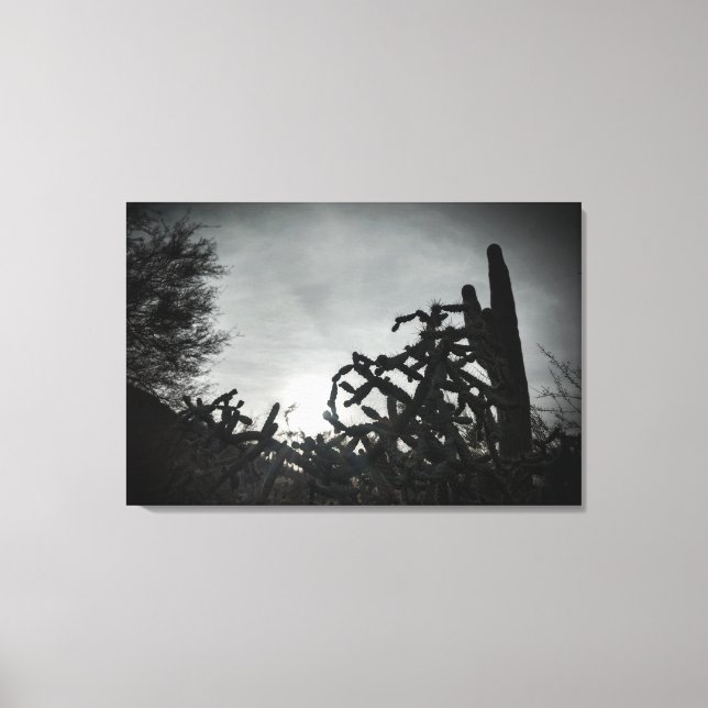 Cholla Sunset Canvas Print (Front)