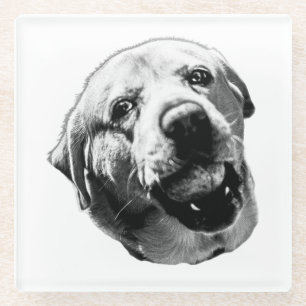 Chomp! But Friendly Glass Coaster