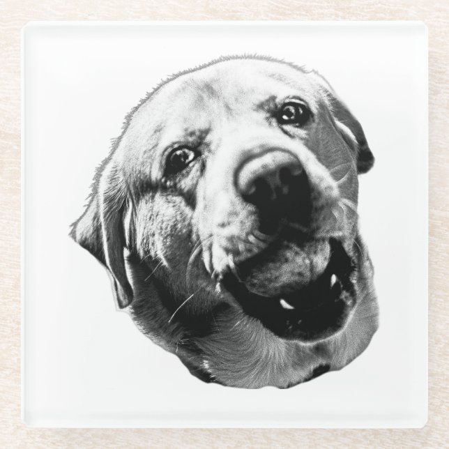Chomp! But Friendly Glass Coaster (Front)