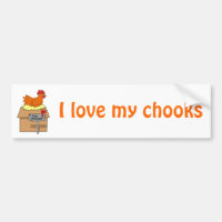 Chook House Funny Chicken on House Cartoon