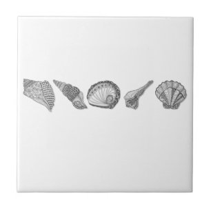 Choose any Colour Seashells Tile