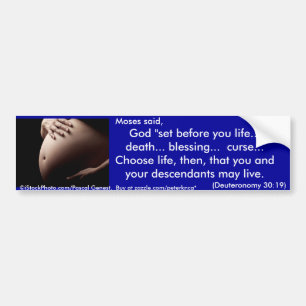 Choose Life Bumper Sticker