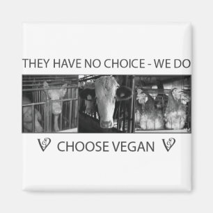 Choose Vegan Magnet