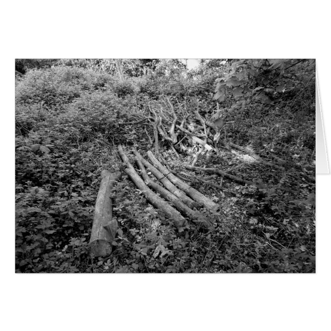 Chopped Up Tree (Front Horizontal)