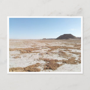 Chott el Gharsa (Tunisia) Postcard