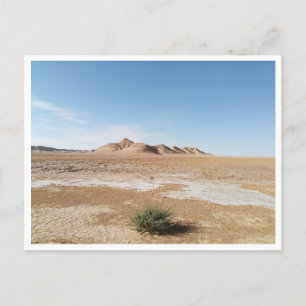 Chott el Gharsa (Tunisia) Postcard