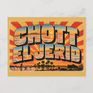 Chott El Jerid Salt Lake Sahara Vintage Travel Art Postcard
