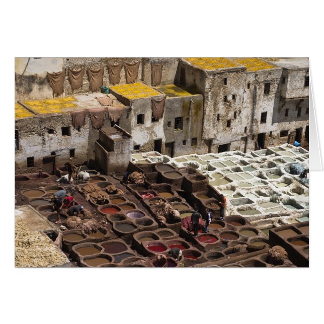 Chourara tannery, Fez (Front Horizontal)
