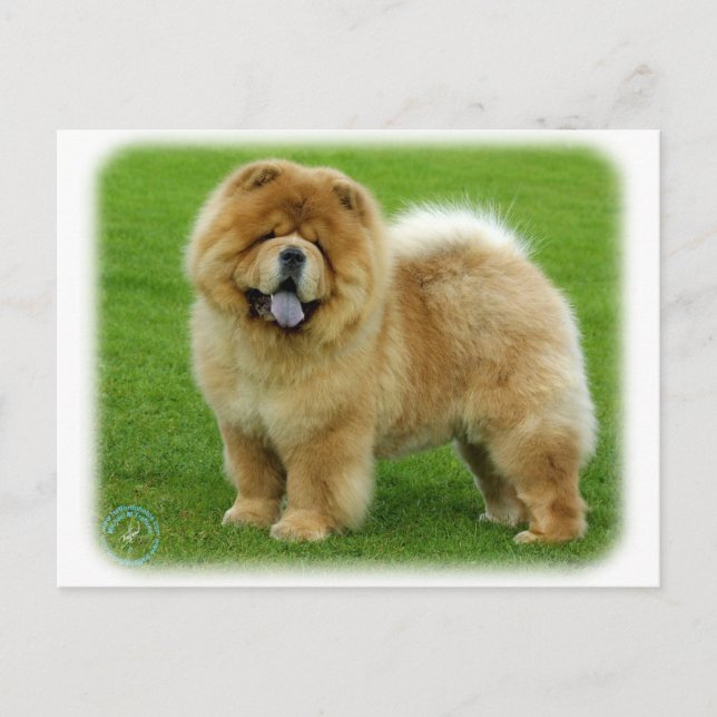 Chow Chow 9B008D-06 Postcard (Front)