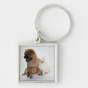 Chow Chow and a White Cat Sitting Together Key Ring