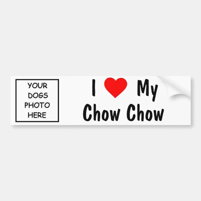 Chow Chow Bumper Sticker (Front)