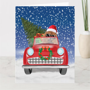 Chow Chow Dog Driving Car In Snow  Card