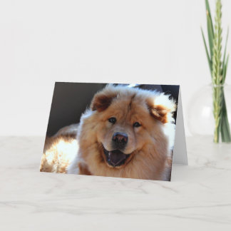 Chow Chow Dog Greeting Card