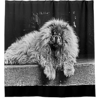 Chow Chow Dog on Porch, Black and White Shower Curtain